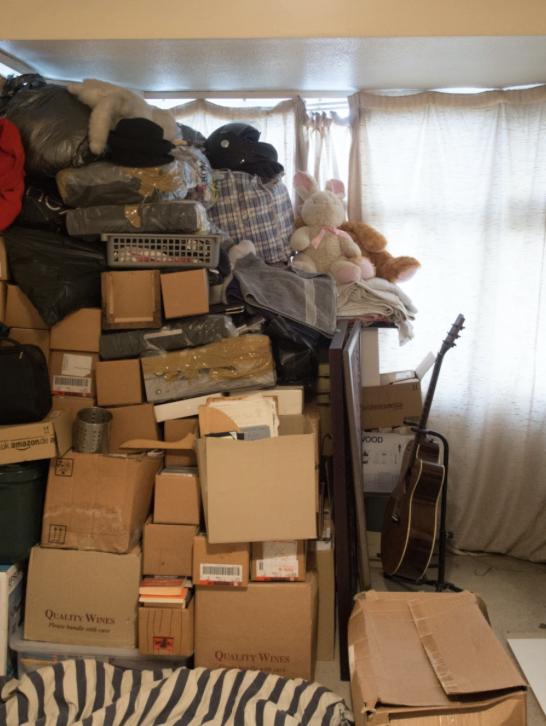 the great purge: surviving and thriving during big decluttering projects